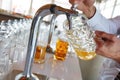 Barman pours a light foamy beer into a large mug during the Oktoberfest party. Royalty Free Stock Photo