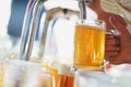 Barman pours a light foamy beer into a large mug during the Oktoberfest party. Royalty Free Stock Photo