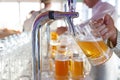 Barman pours a light foamy beer into a large mug during the Oktoberfest party. Royalty Free Stock Photo