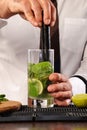 Barman preparing cocktail Royalty Free Stock Photo