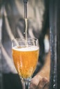 Barman serving cold beer from a tap