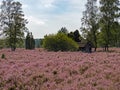 Barn with apiary at the landscape of Lueneburg Heath, Lower Saxony, Germany