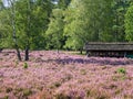 Barn with apiary at the landscape of Lueneburg Heath, Lower Saxony, Germany Royalty Free Stock Photo