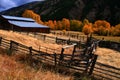 Barn And Aspens Autumn Royalty Free Stock Photo