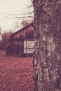 Barn Behind Tree Royalty Free Stock Photo