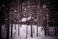 Barn, built in a winter forest in a blizzard Royalty Free Stock Photo