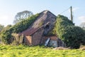 Barn conversion. Old dilapidated brick farm building covered in vegetation