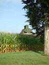 barn in a corn field