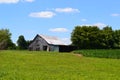 Barn in a cornfield with blue skies Royalty Free Stock Photo