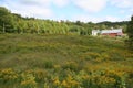 Barn, in distance