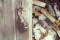 Old barn door lock hanging on a loop against the background of old textured wooden walls of boards and dried firewood Royalty Free Stock Photo