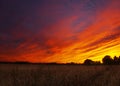 Barn with a dramatic sunset and corn fields