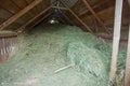 barn full of fresh hay for livestock animals Royalty Free Stock Photo