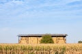 Barn full of haystacks and hay bales and straw standing in front of a cornfield in a rural landscape of Vojvodina, in Serbia Royalty Free Stock Photo