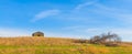 Barn on a Hill with Downed Tree