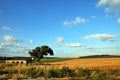 The Barn House Royalty Free Stock Photo