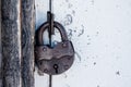 Barn old rusty lock on the door. Royalty Free Stock Photo
