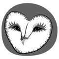 Barn owl face. Vector drawn illustration.