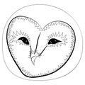 Barn owl face. Vector drawn illustration.