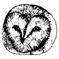 Barn owl face. Vector hand drawn illustration.