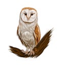 Barn owl from multicolored paints. Splash of watercolor, colored drawing, realistic Royalty Free Stock Photo