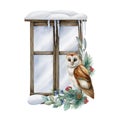 Barn owl on a snowy window. Winter floral arrangement. Barn owl by the window with snow, pine branches, eucalyptus and