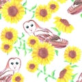 Barn owl or Tyto alba and sunflower seamless background Royalty Free Stock Photo