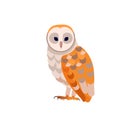 Barn owl with white face and brown wings, side view. Wild forest bird. Carnivore Hunter Bird Cartoon flat style