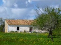 Barn in Portugal on a green meadow Royalty Free Stock Photo