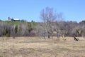 Barn and silos on lush green hill along hiking trail at Copeland Forest Royalty Free Stock Photo