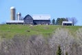 Barn and silos on lush green hill along hiking trail at Copeland Forest Royalty Free Stock Photo