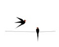 Barn swallow silhouette on wire, vector. Two birds silhouettes on wire isolated on white background. Minimalist art design Royalty Free Stock Photo