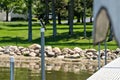 Barn swallow bird on the metal pole of a boat dock Royalty Free Stock Photo