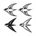 Barn Swallow illustration in clean vector style featuring a graceful small bird. Royalty Free Stock Photo