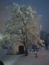 Barn tree Ohio snowy night calm