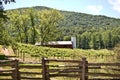 Barn at the Winery / Mountains Royalty Free Stock Photo