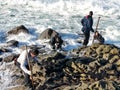 Barnacle fishermen work in Galicia in an area with lots of waves and underground sea