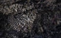 barnacles adhered to the rocks in the coast Royalty Free Stock Photo