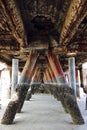 Barnacles growing on pillars