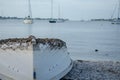 Barnacles on a upside down boat on the shore in Florida