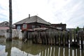 The Dog during the flood. The river Ob, which emerged from the shores, flooded the outskirts of the city.