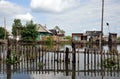 Flood. The river Ob, which emerged from the shores, flooded the outskirts of the city. Livestock escapes on the hill. Royalty Free Stock Photo