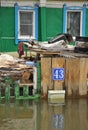 Mailbox during the flood. The river Ob, which emerged from the shores, flooded the outskirts of the city.