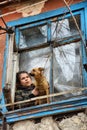 A girl with a dog in a poor quarter looking out the window of an old house Royalty Free Stock Photo