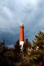 Barnegat lighthouse Royalty Free Stock Photo