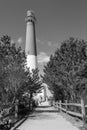 Barnegat Lighthouse, New Jersey, black and white portrait Royalty Free Stock Photo