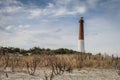 Barnegat Lighthouse, NJ, surrounded by sandy beach and golden wild grasses on a brisk winter day under blue cloudy sky Royalty Free Stock Photo