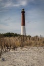 Barnegat Lighthouse, NJ, surrounded by sandy beach and golden wild grasses on a brisk winter day under blue cloudy sky Royalty Free Stock Photo