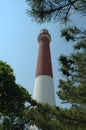 Barnegat Through The Trees Royalty Free Stock Photo