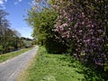 Narrow boat on the Leeds Liverpool Canal at Barnoldswick in Lancashire UK